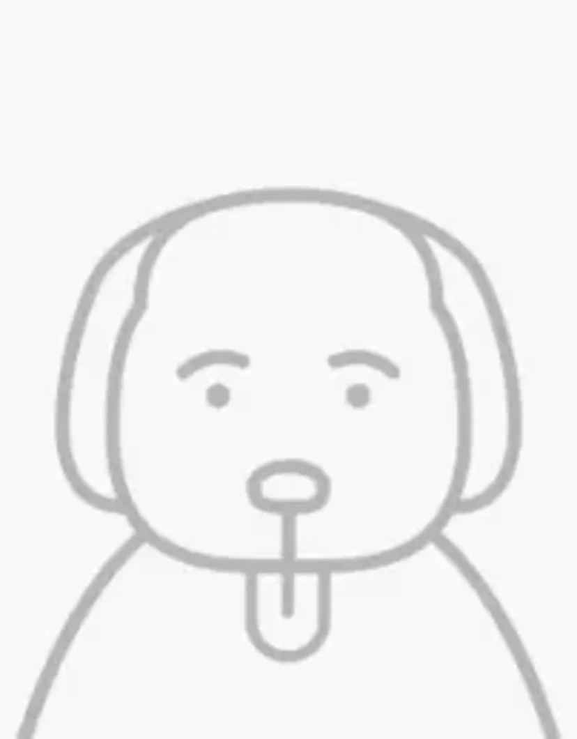 Inside Of Dog S Mouth Turning Black Inside Of Dog S Mouth Turning Black